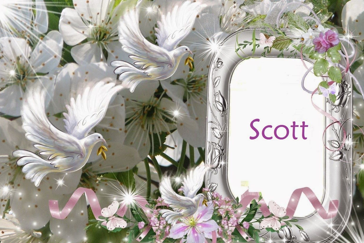 10 Creative Nicknames For Someone Named Scott