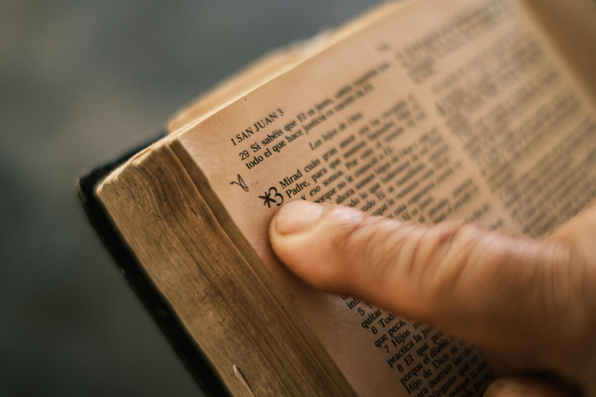 Bible Verse Exposes The Danger Of Trusting In Man