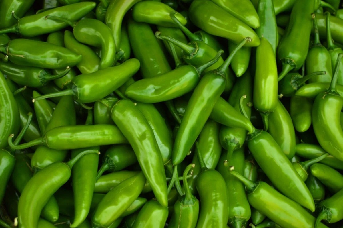 Delicious Alternatives To Green Peppers In Your Recipes