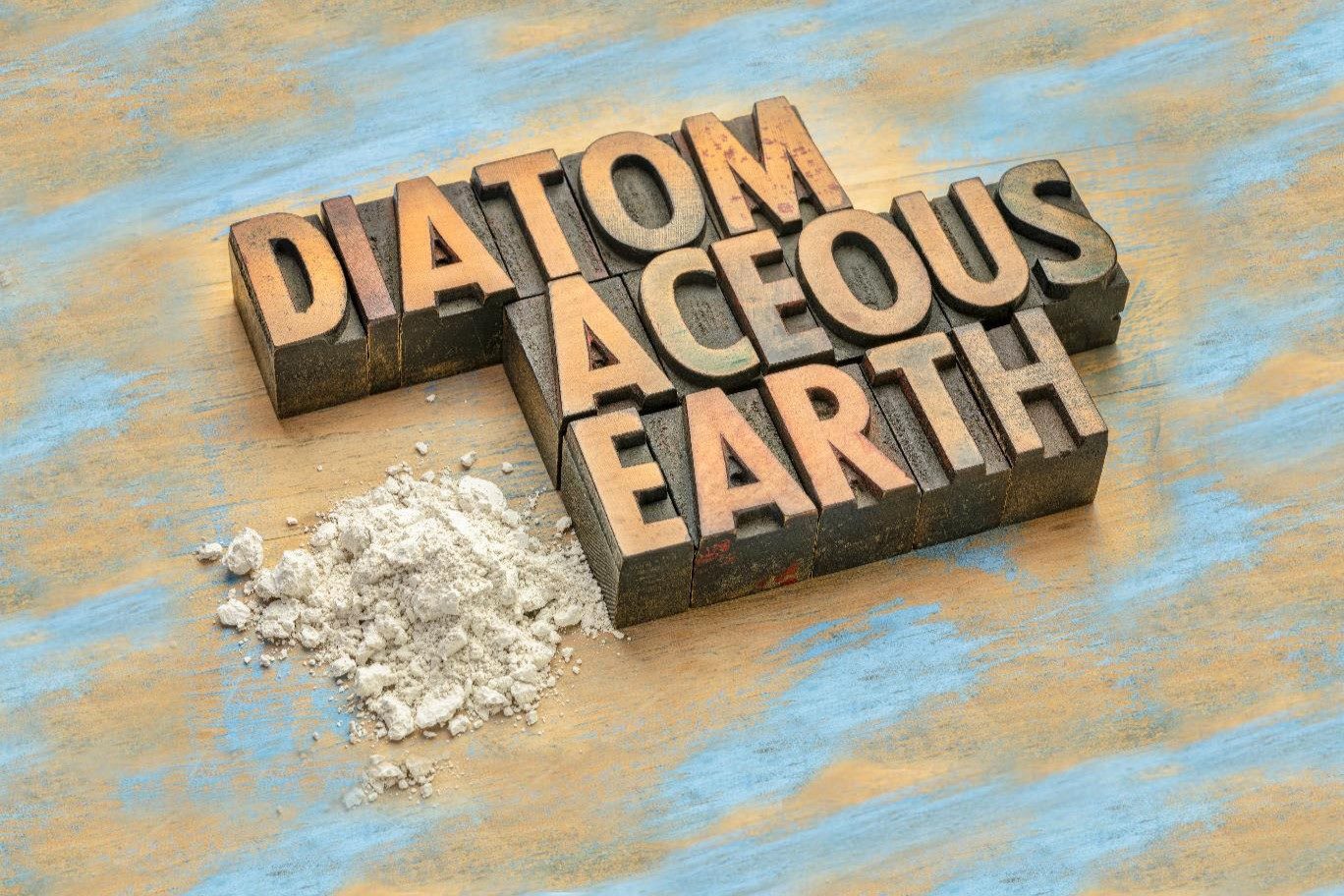 Discover The Surprising Safety Of Diatomaceous Earth For Your Beloved Pets!