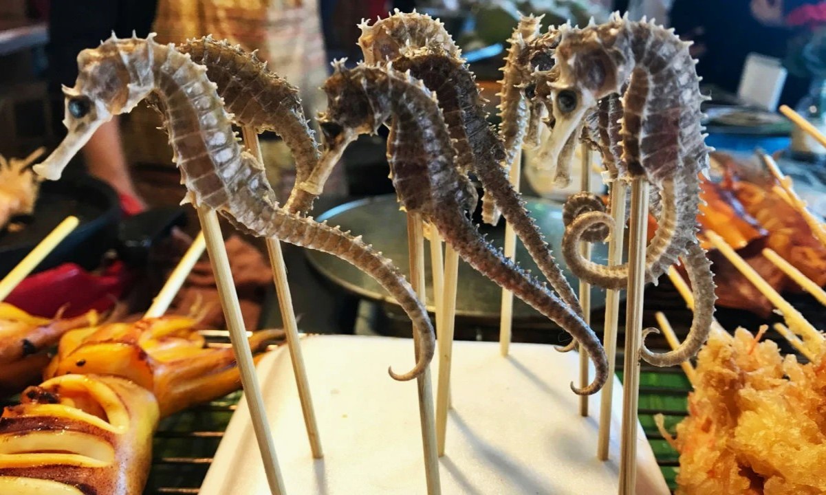 Discover The Surprising Truth: Are Seahorses Safe To Eat?