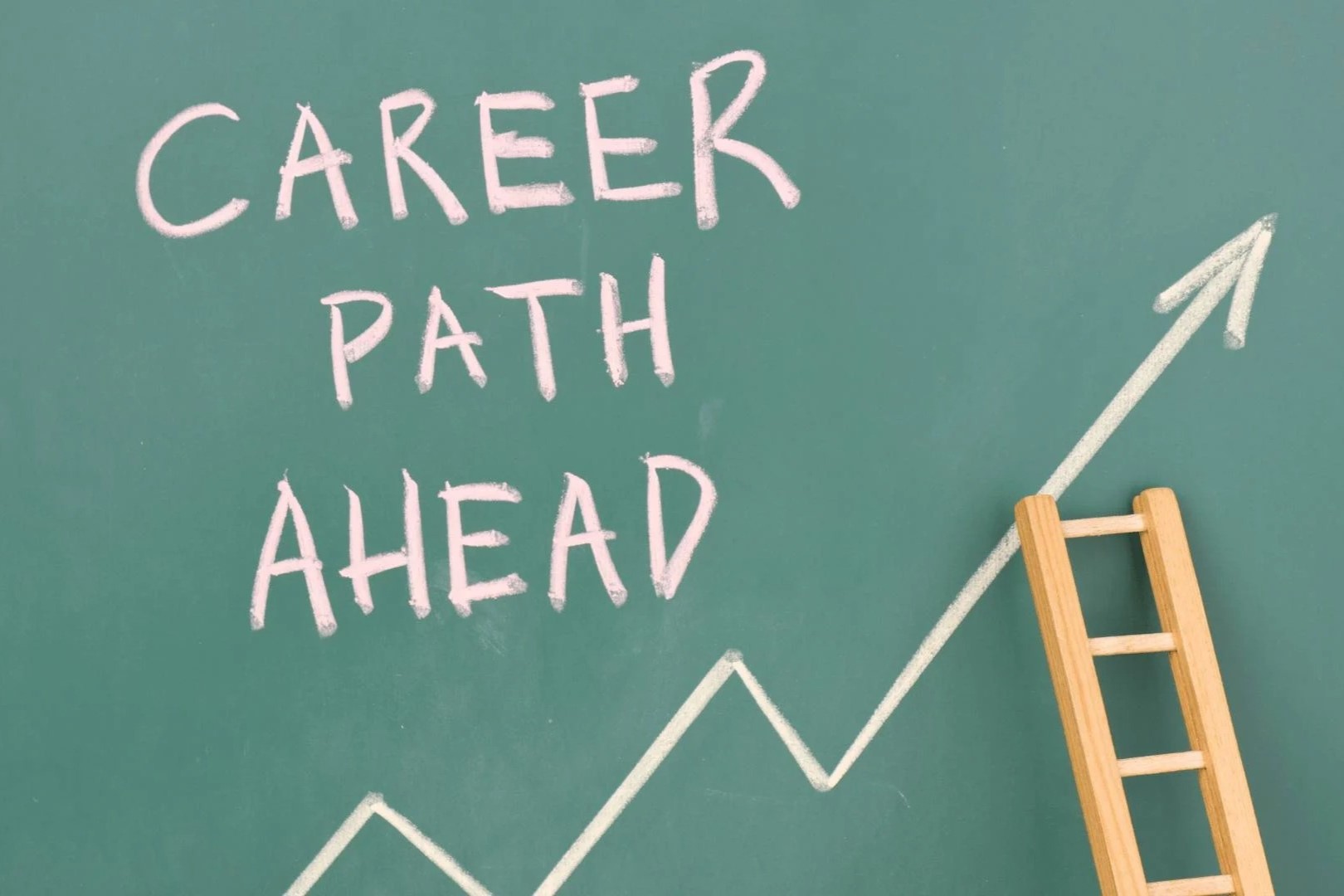 Graphic Design Vs. Medical Field: Which Career Path Is The Ultimate Winner?