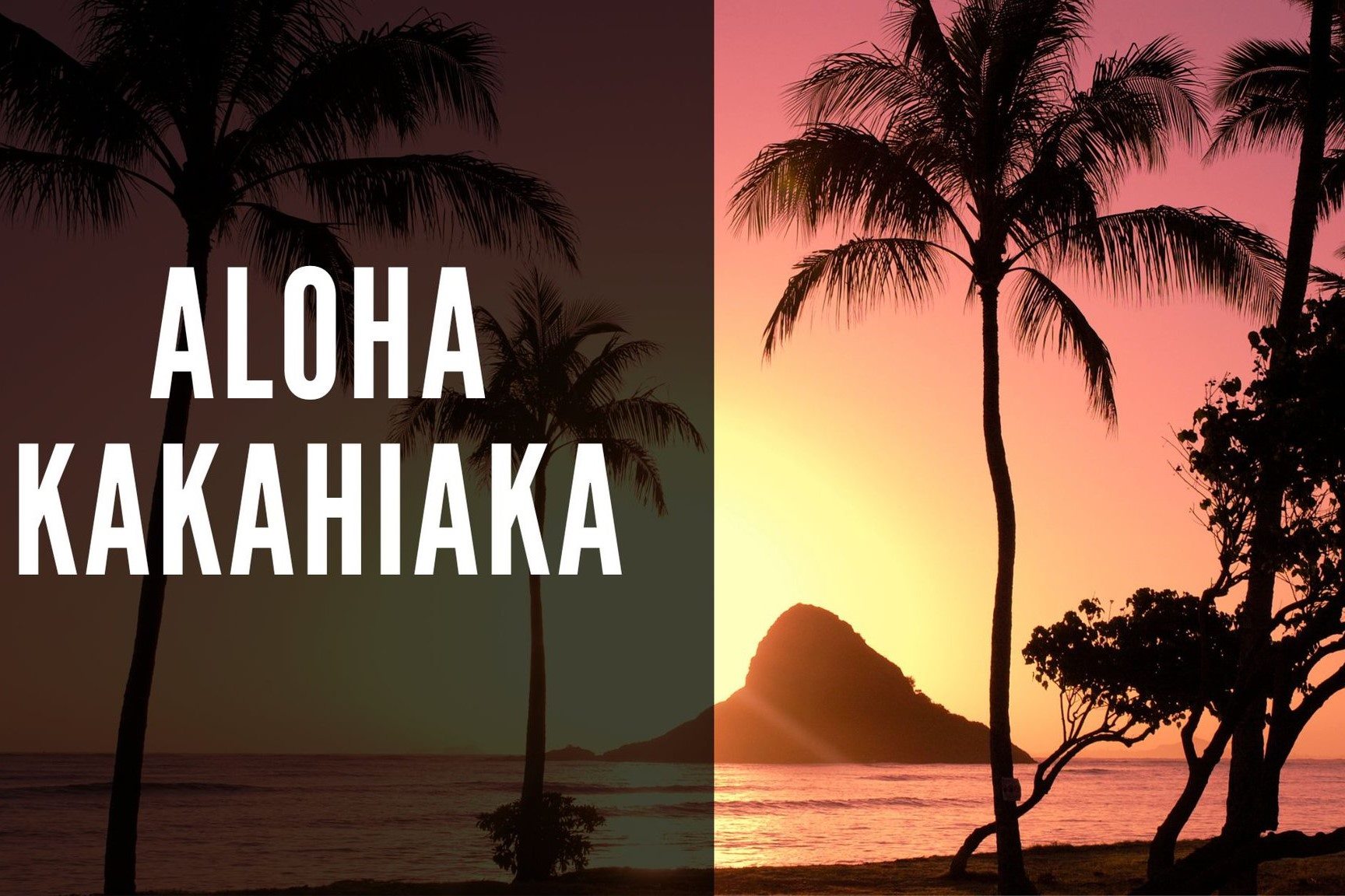 Learn How To Say ‘good Morning’ In Hawaiian And Discover Other Useful Phrases!