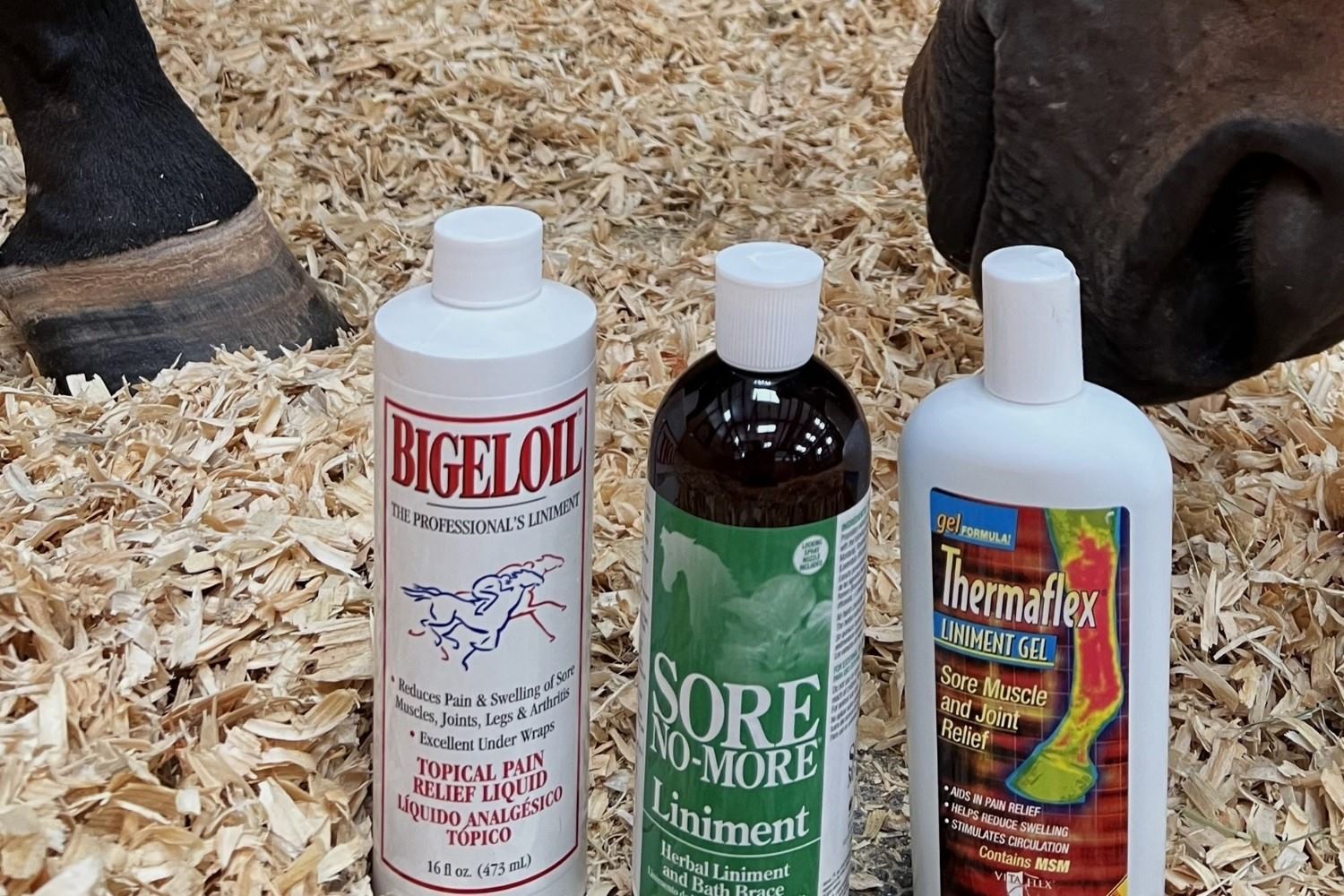 Surprising Use Of Horse Liniment For Dogs!