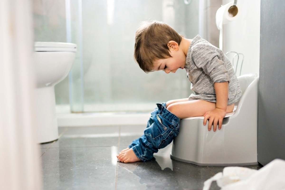 Surprising Way Adults Are Embracing Potty Training Potties!