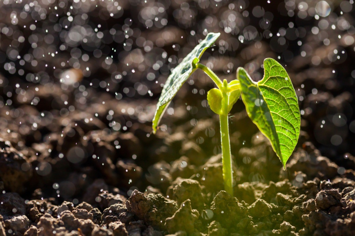 The Hidden Symbolism And Spiritual Significance Of Rainfall