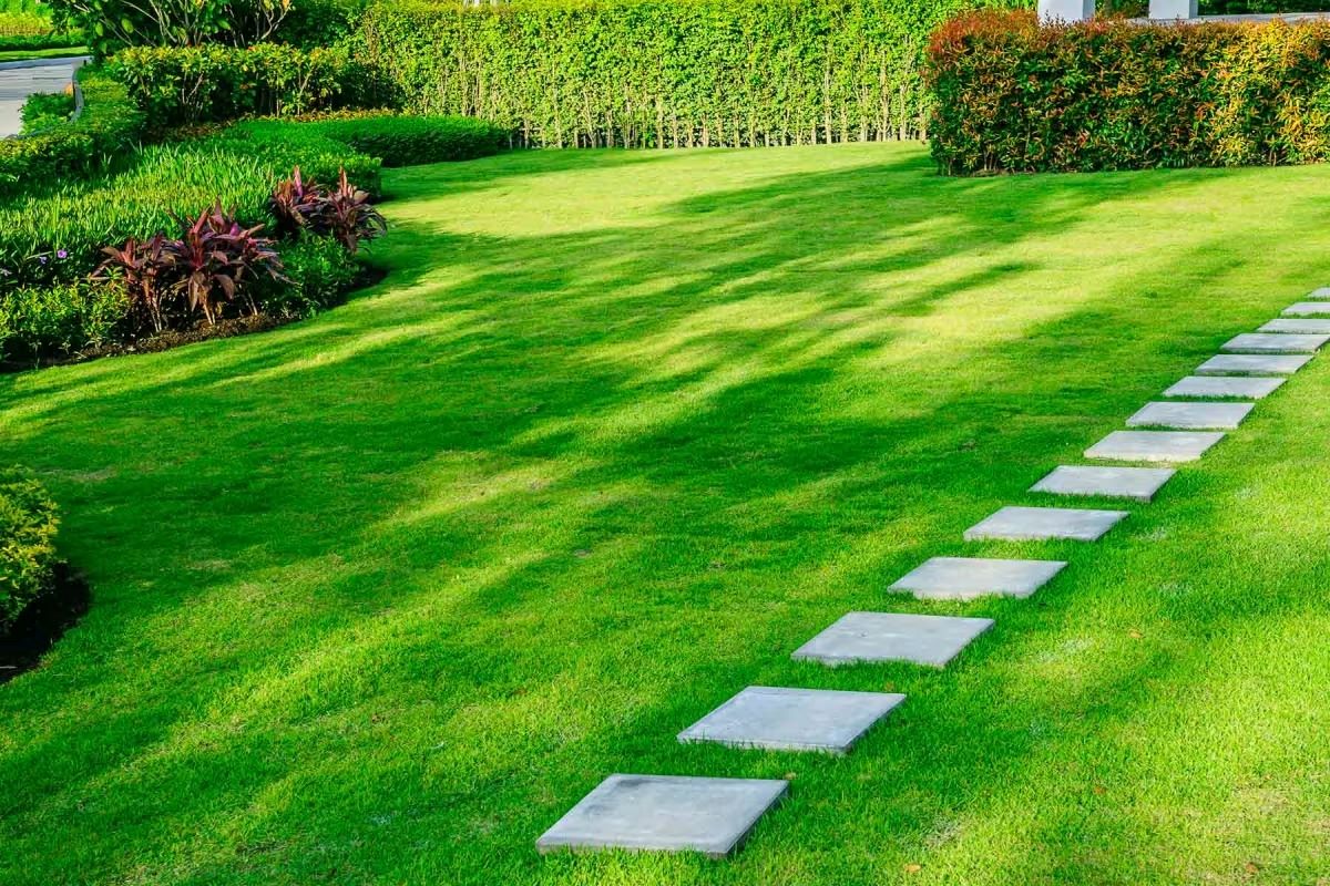 The Secret To Having A Perfectly Green Lawn Without Any Grass