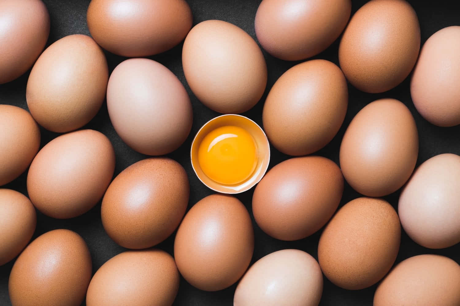 The Shocking Cost Of Buying 100 Eggs Revealed!