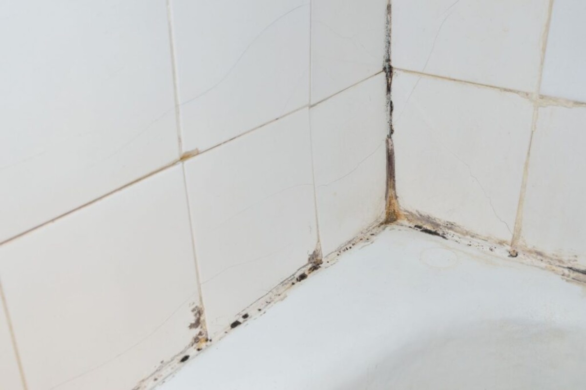 The Shocking Truth Behind Black Mold In Your Bathroom Corners