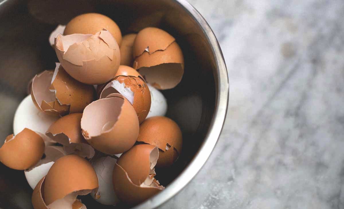 The Shocking Truth: Chewing Eggshells Could Destroy Your Teeth!