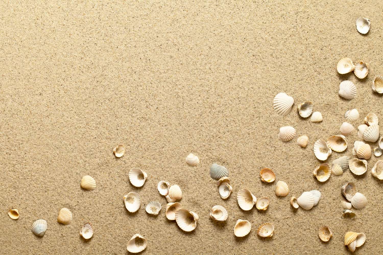 The Surprising Factor That Determines The Color Of Beach Sand