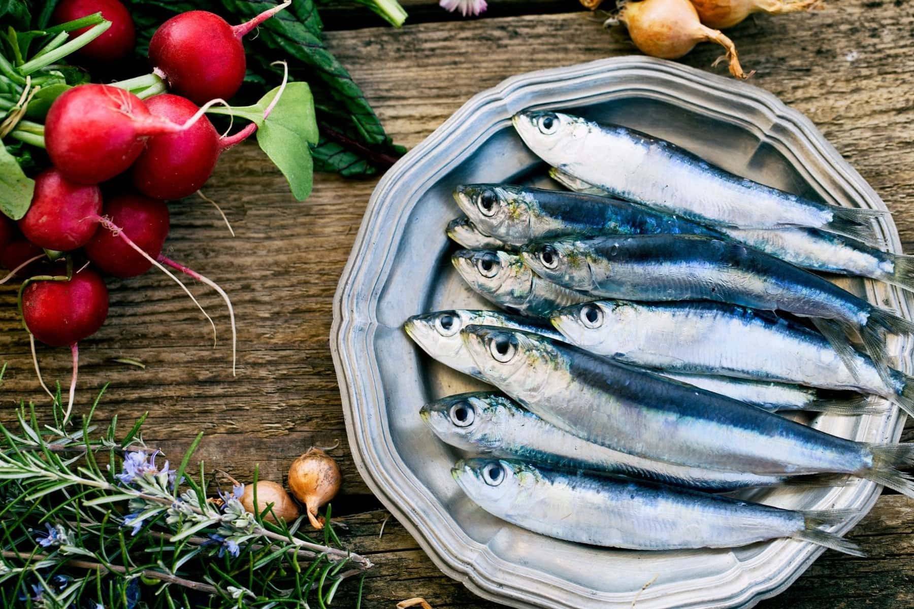 The Surprising Health Benefits Of Sardines For Humans And Dogs