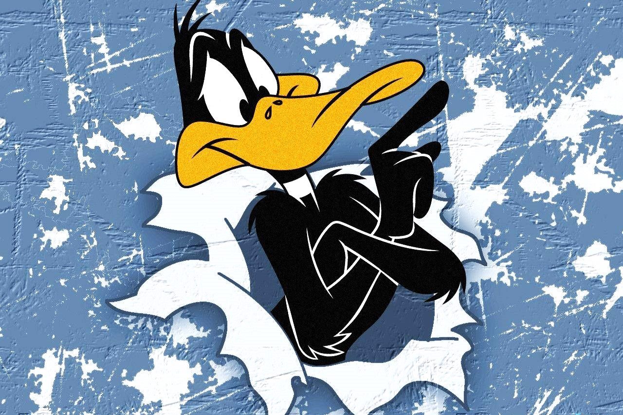 The Surprising Identity Of Daffy Duck's Mysterious Wife Revealed!