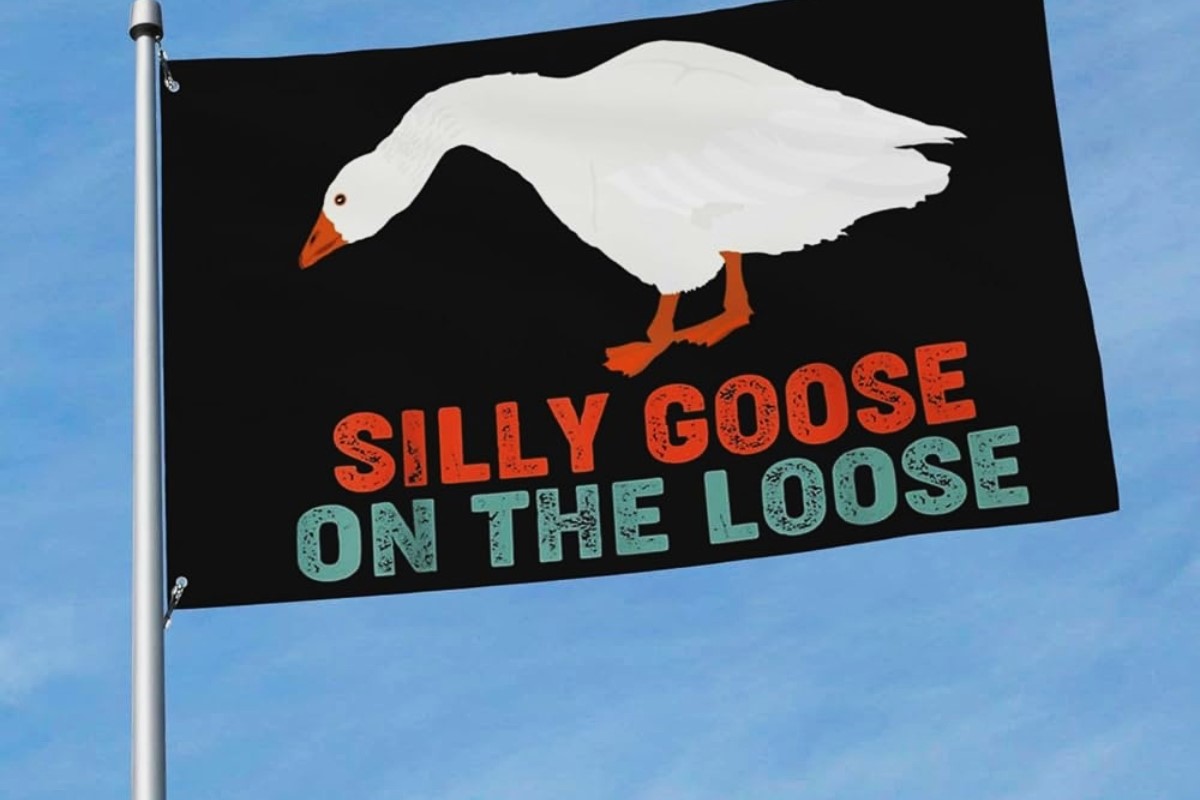 The Surprising Origin Of The Expression “You Silly Goose!”