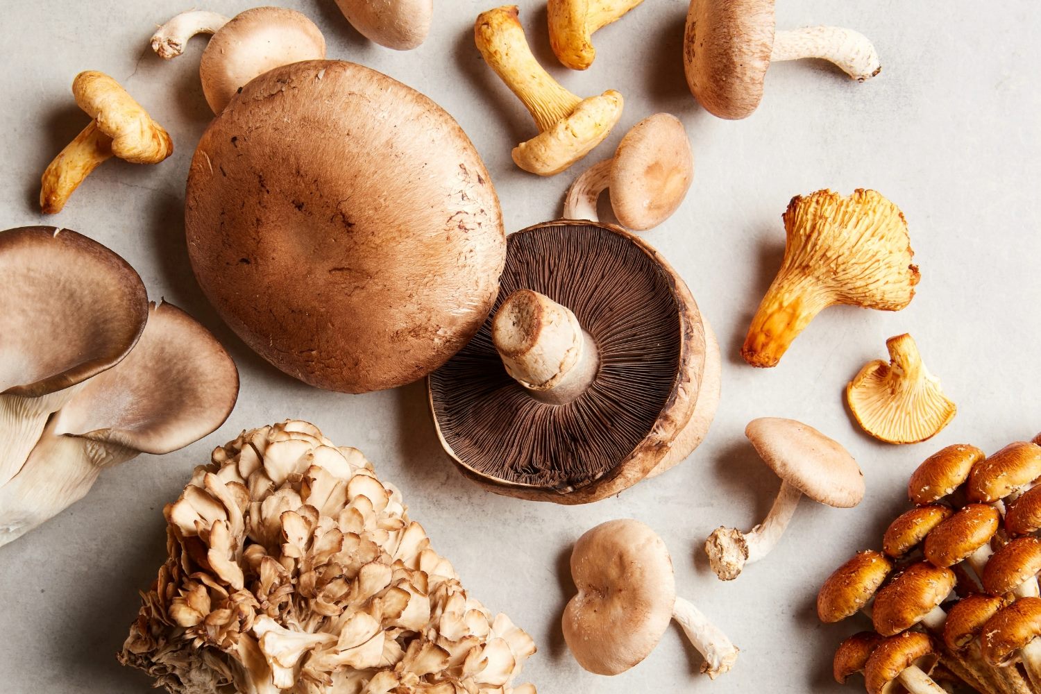 The Surprising Reason Why People Can't Get Enough Of Mushrooms!