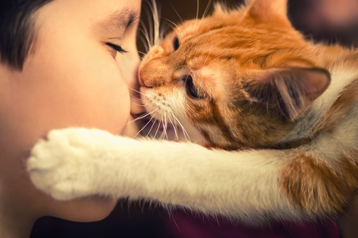 The Surprising Reason Why Your Cat Can’t Stop Licking Your Nose
