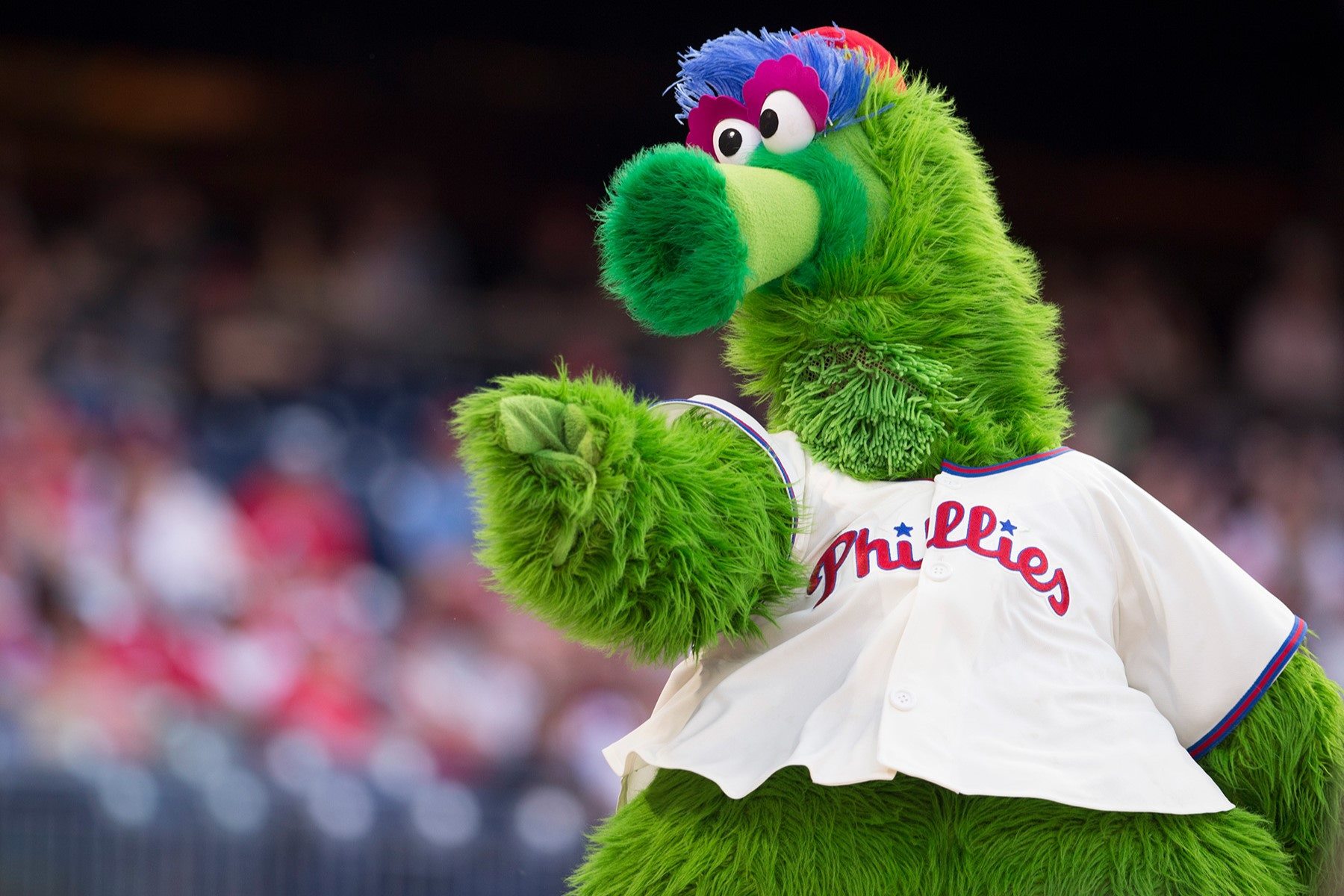 The Surprising Salary Of The Phillie Phanatic Revealed!