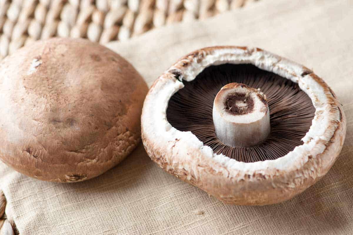 The Surprising Side Effects Of Overindulging In Portobello Mushrooms