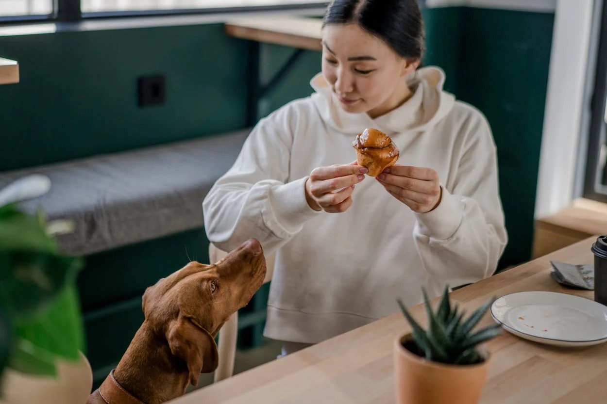 The Surprising Truth About Feeding Your Dog Croissants!