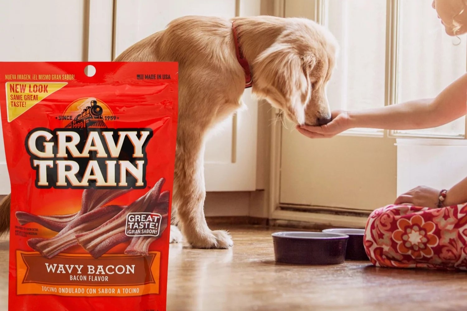 The Surprising Truth About Gravy Train For Dogs