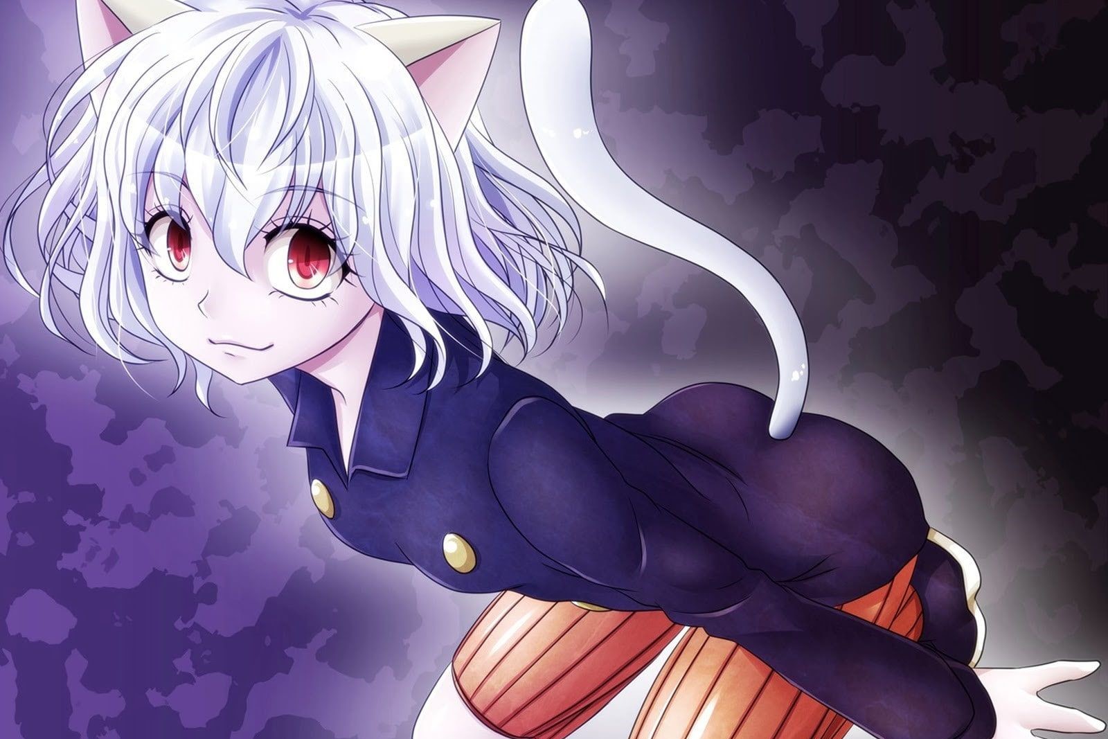 The Surprising Truth About Neferpitou’s Gender!