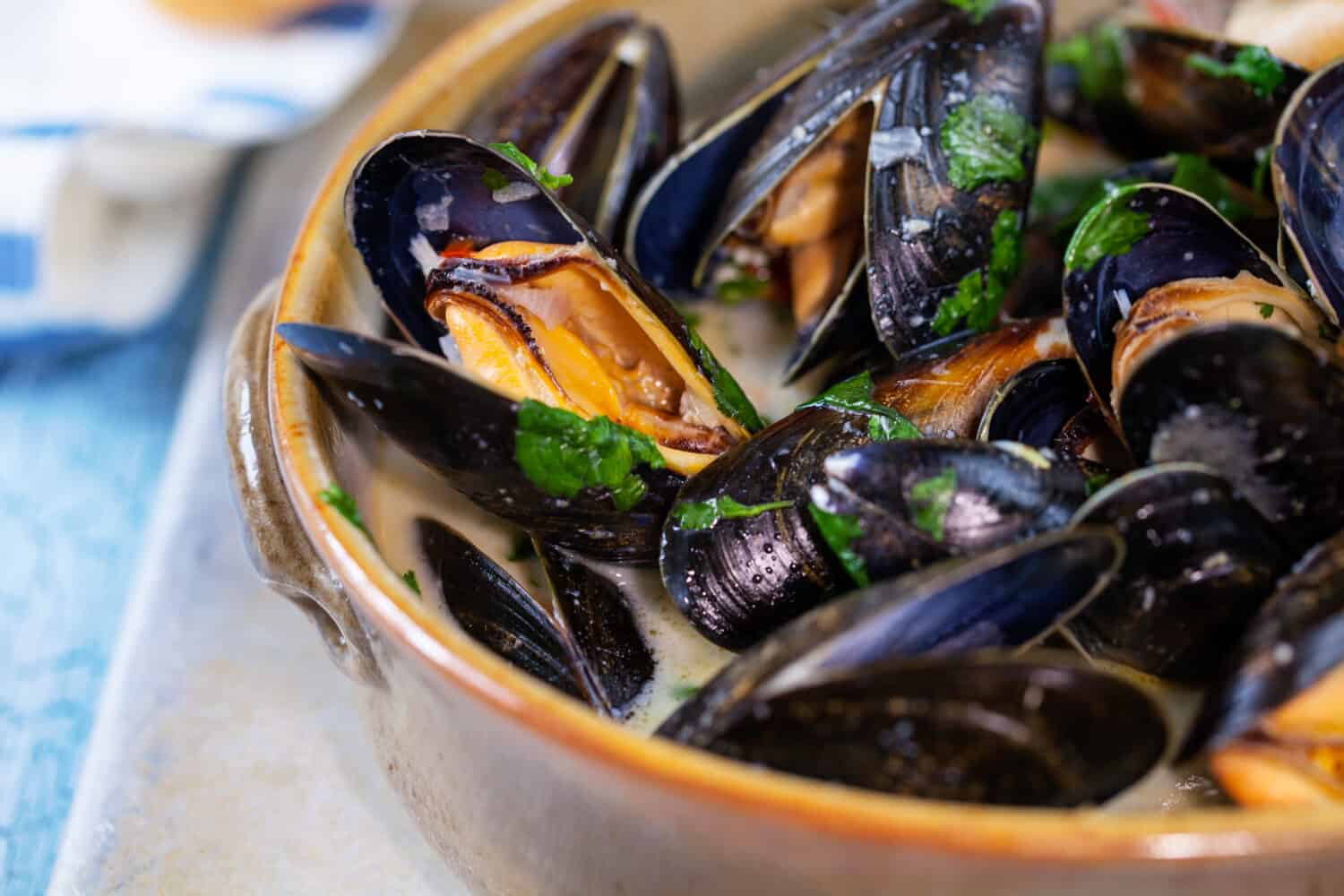 The Surprising Truth: New Zealand Green-Lipped Mussels Vs. Gulf Of Mexico Mussels – Which Is The Superior Catch?