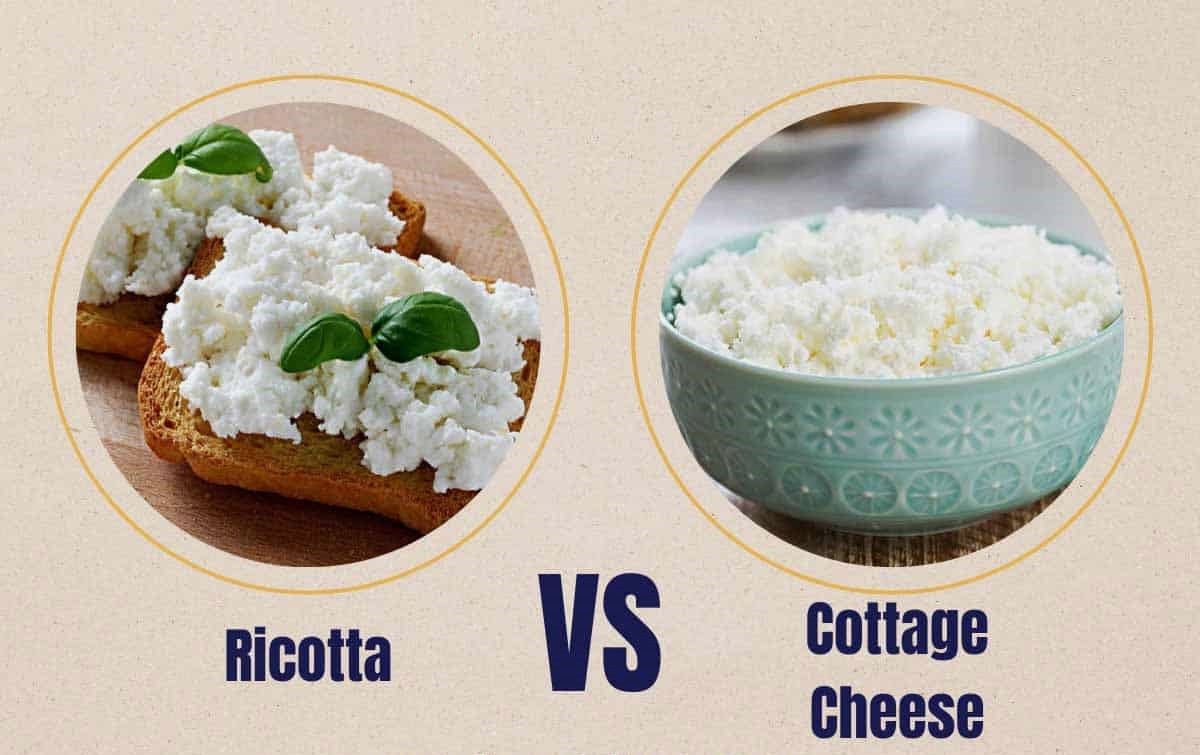 The Surprising Truth: Ricotta Cheese Vs Cottage Cheese