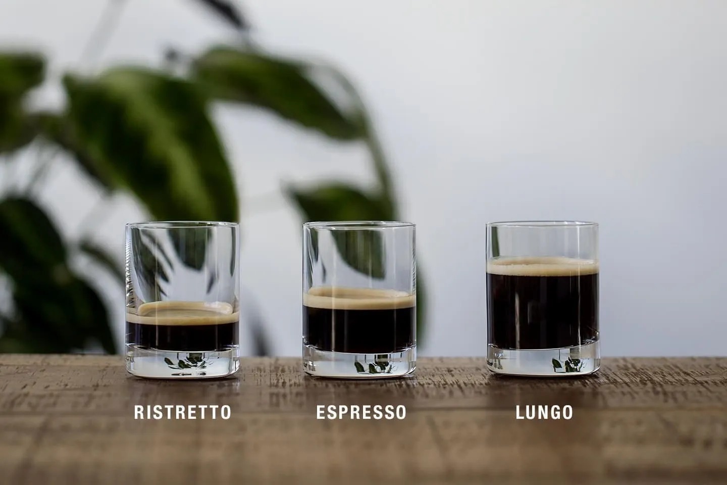 The Ultimate Espresso Showdown: Ristretto Vs. Long Vs. Regular Shots – Unveiling The Hidden Differences!