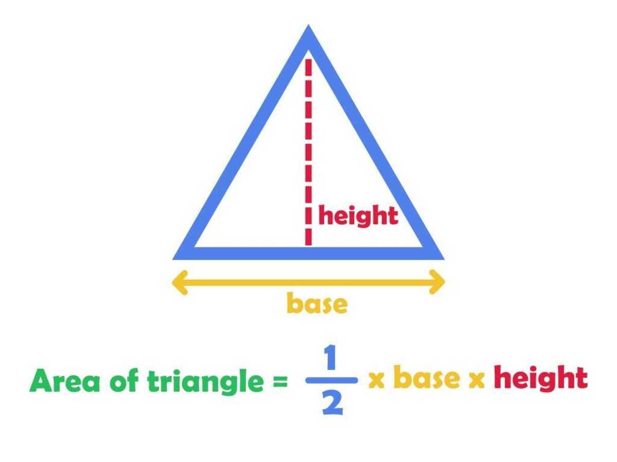 The Ultimate Guide To Calculating Triangle Bases: Master The Art Of Geometry!