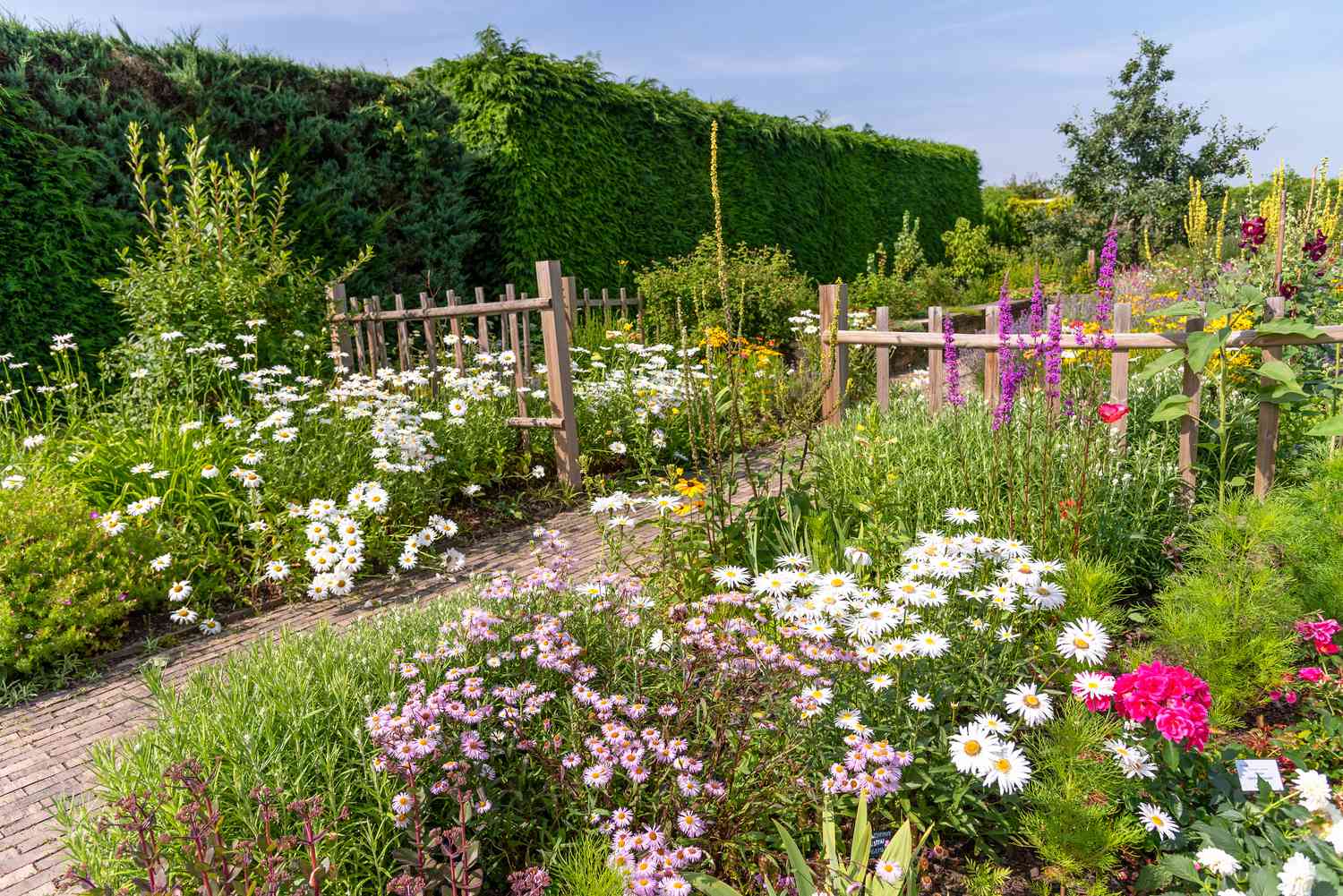 The Ultimate Guide To Successfully Planting A Wildflower Garden From Seed