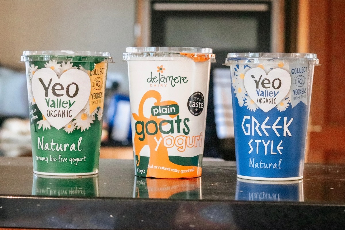 The Ultimate Guide To The Best Greek Yogurt Brands For Your Beloved Pets!