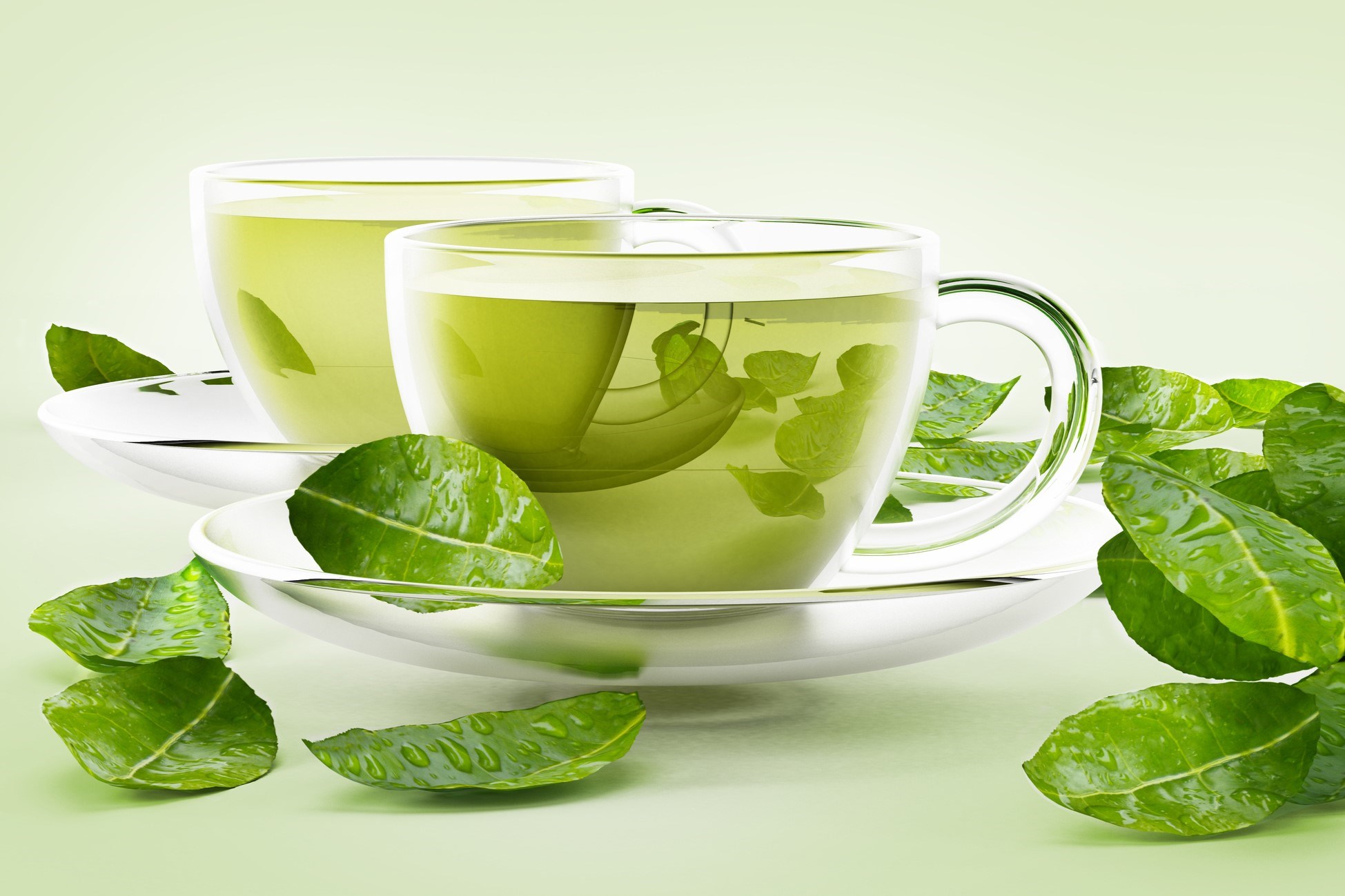The Ultimate Guide To The Best Green Tea For Weight Loss And Its Incredible Benefits!