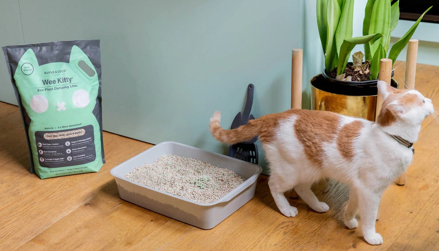 The Ultimate Guide To The Best Natural Kitty Litter For Odor Control And Clumping (No Cedar!)