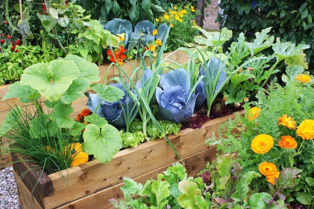 The Ultimate Guide To Vegetable Companion Planting: What To Plant Together And What To Avoid