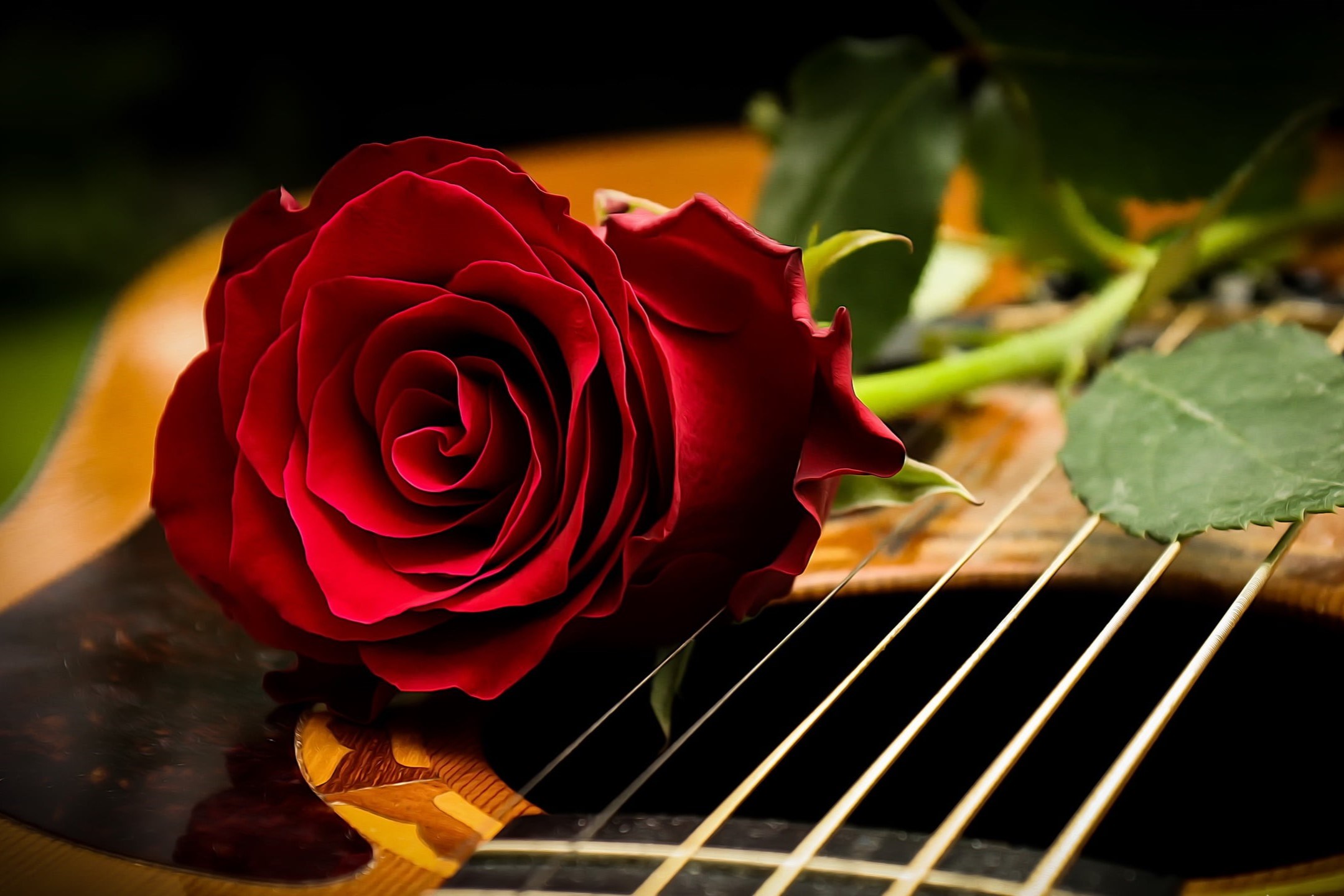 Top 10 Songs That Bloom With The Word ‘Flowers’ – A Melodic Garden Of Musical Delights!