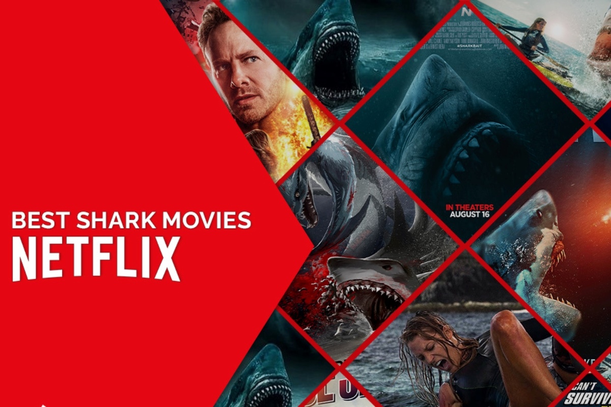 Top Shark Movies On Netflix
