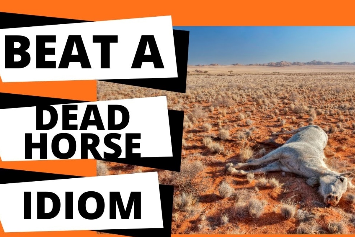 Unleash Your Creativity With This Concise And Clickbaity Expression: “Unveiling The True Meaning Behind ‘beat Off A Dead Horse’!”