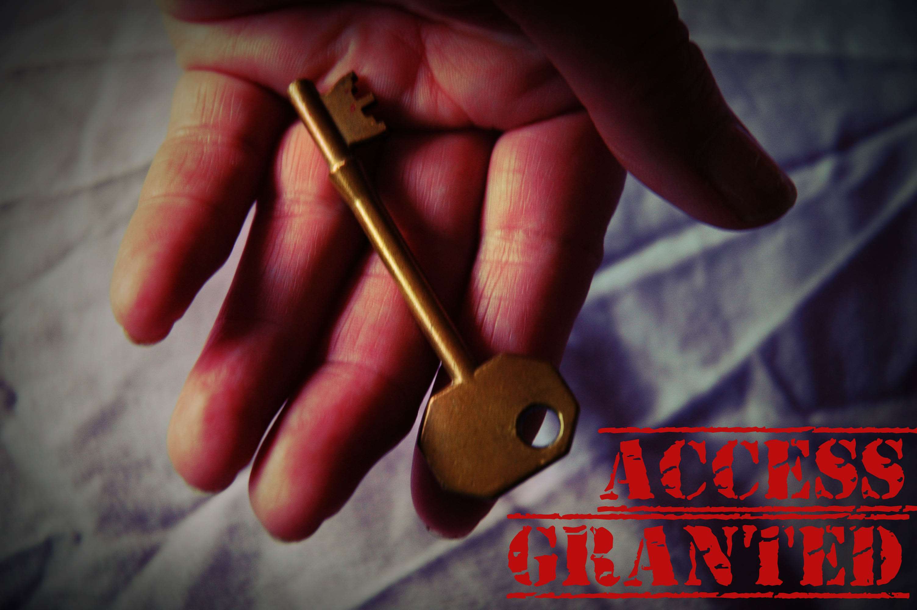 Unlocking Exclusive Access: Discover The Power Of ‘Granted Access’