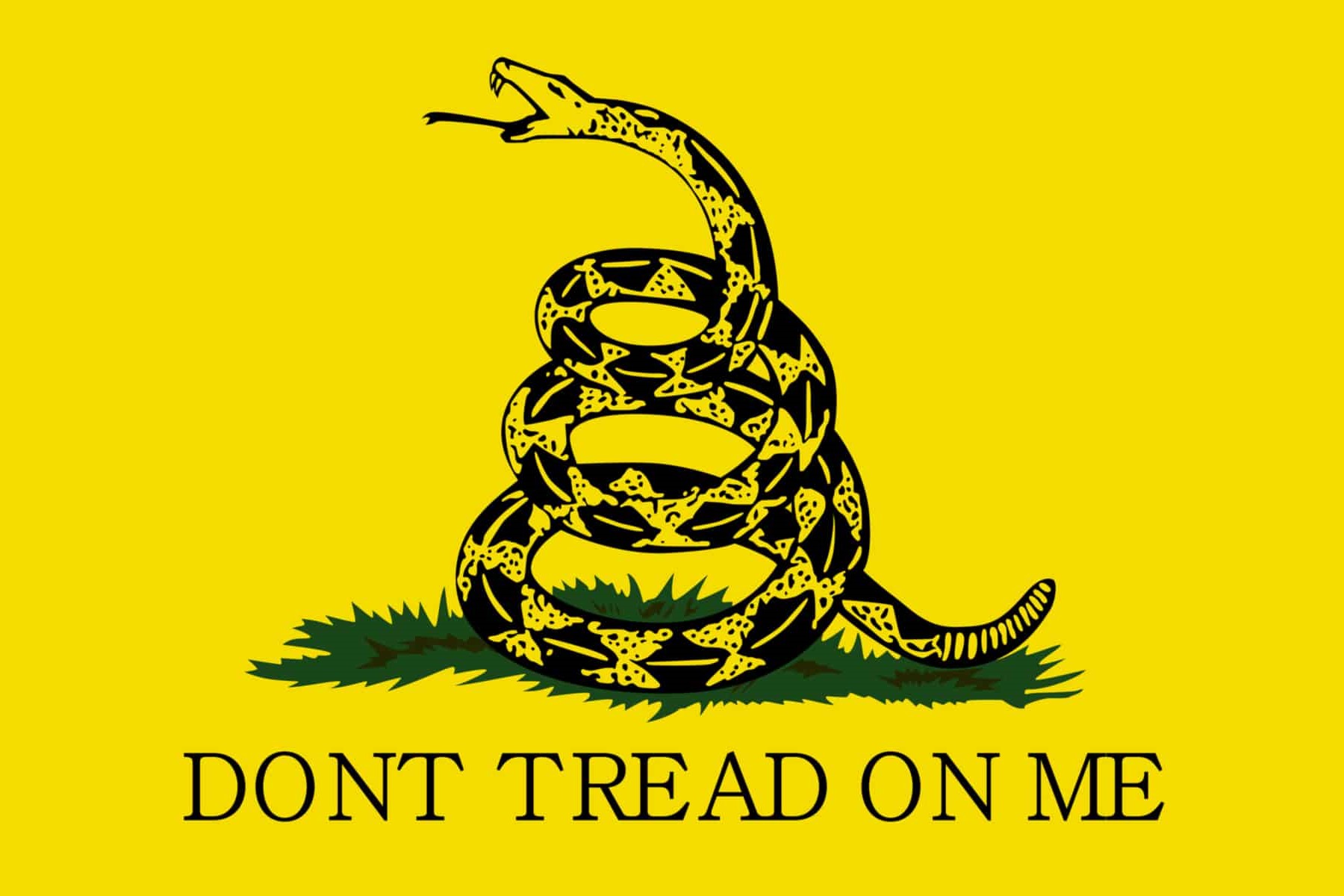 Unraveling The Meaning Behind “Don’t Tread On Me”