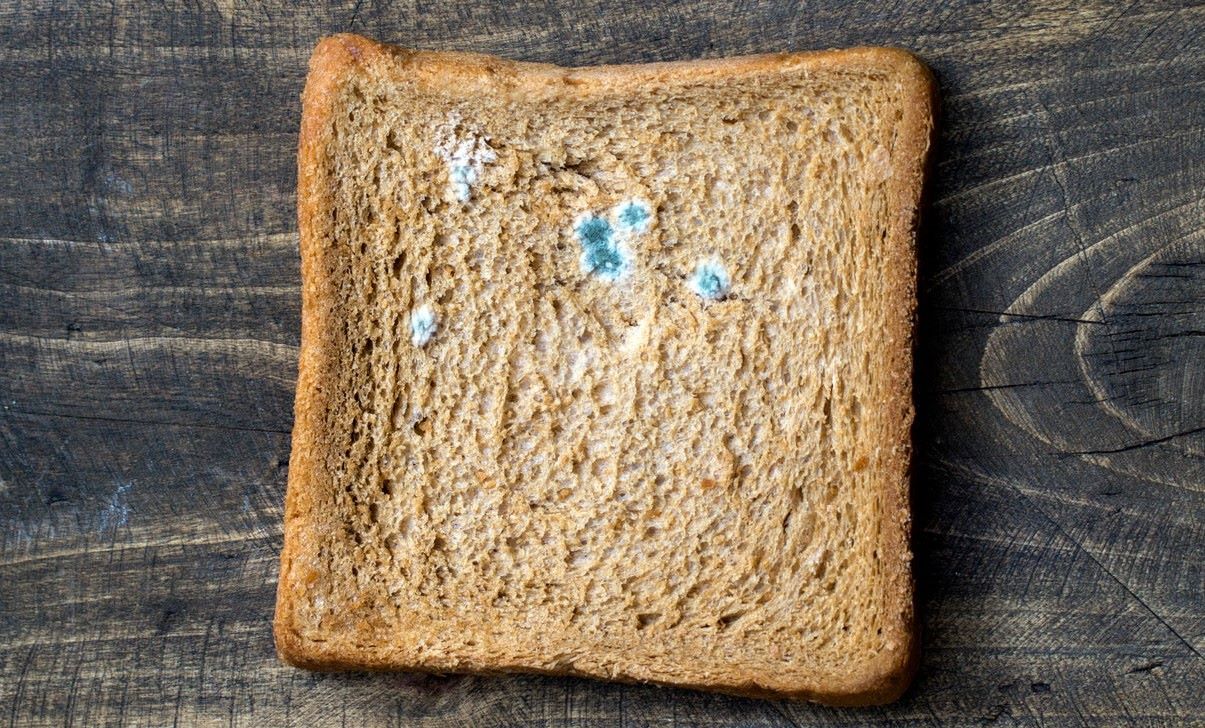 Unveiling The Mystery: Discover The Bizarre Phenomenon Of Thick, Paint-Like Spots On Your Bread!