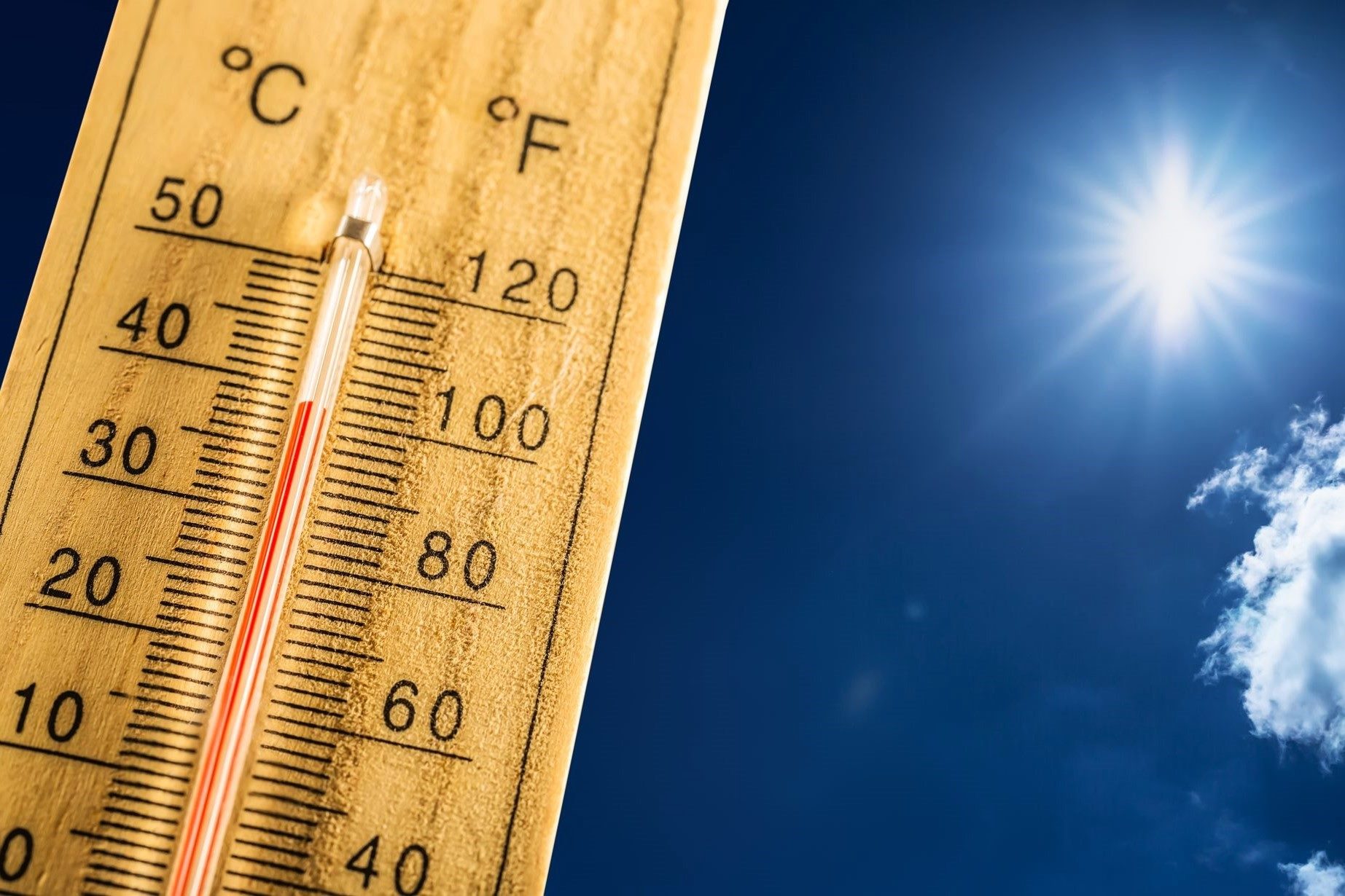 You Won't Believe How Amazing 59 Degrees Fahrenheit Feels!