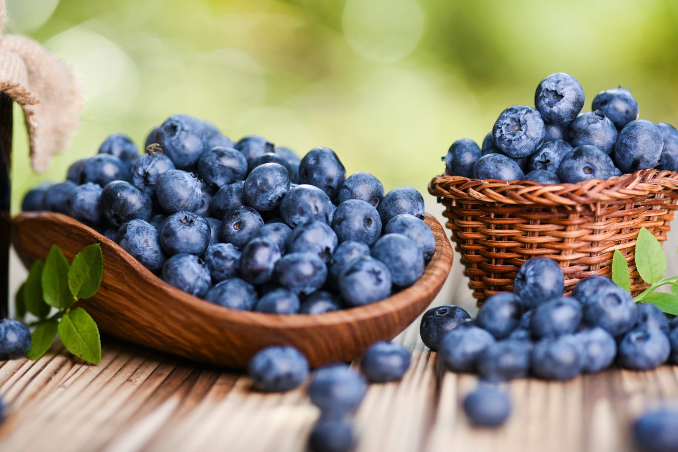 You Won't Believe What Color Is Inside All Blueberry Varieties!