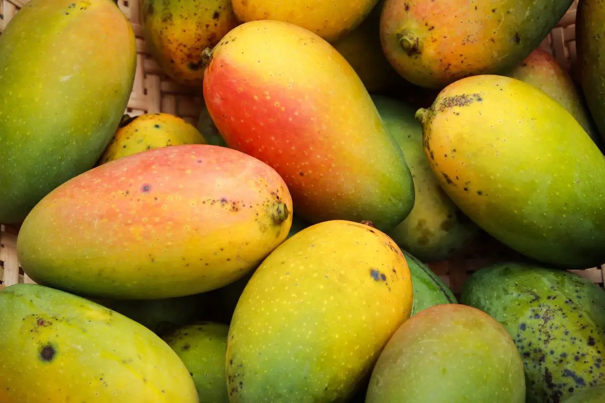 You Won’t Believe What Happens When Mangoes Turn Slightly Brown And Soft Inside!