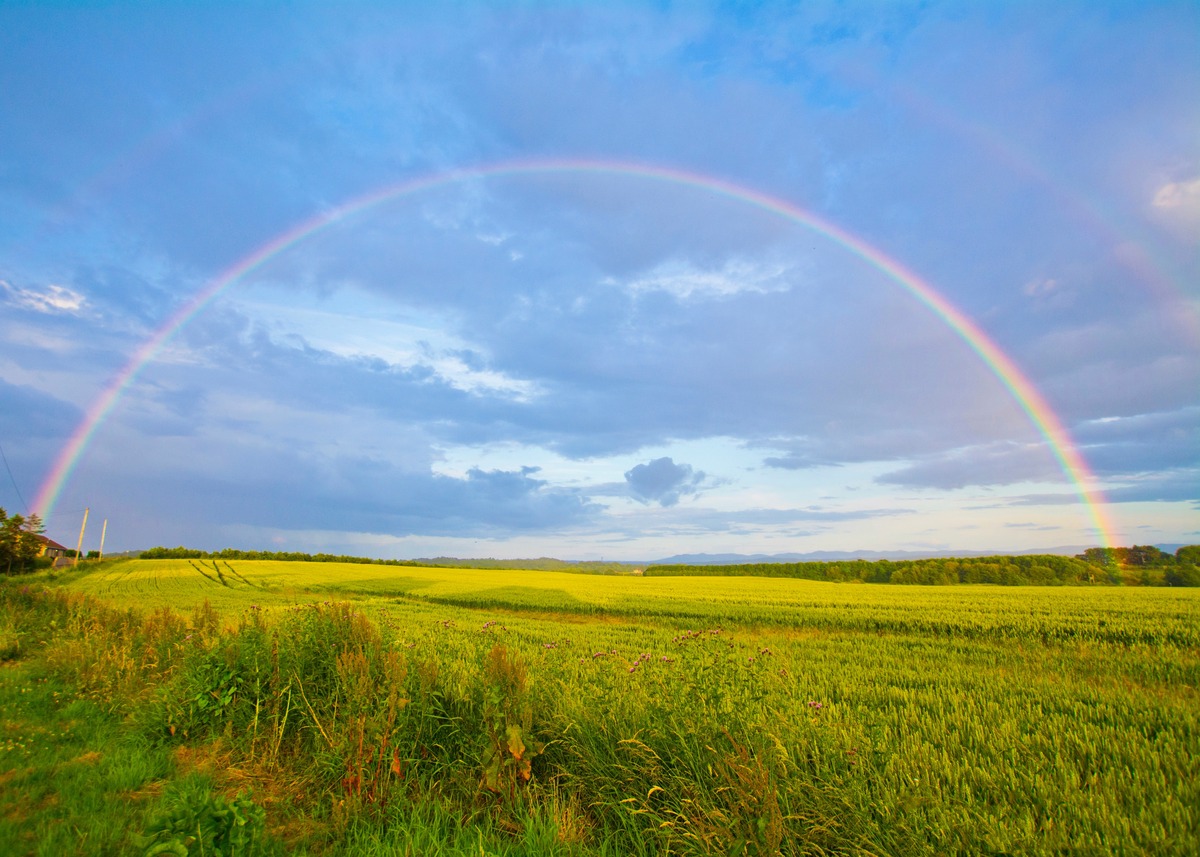 10 Beautiful Names That Mean “Rainbow” – Find The Perfect Name For Your Little One!
