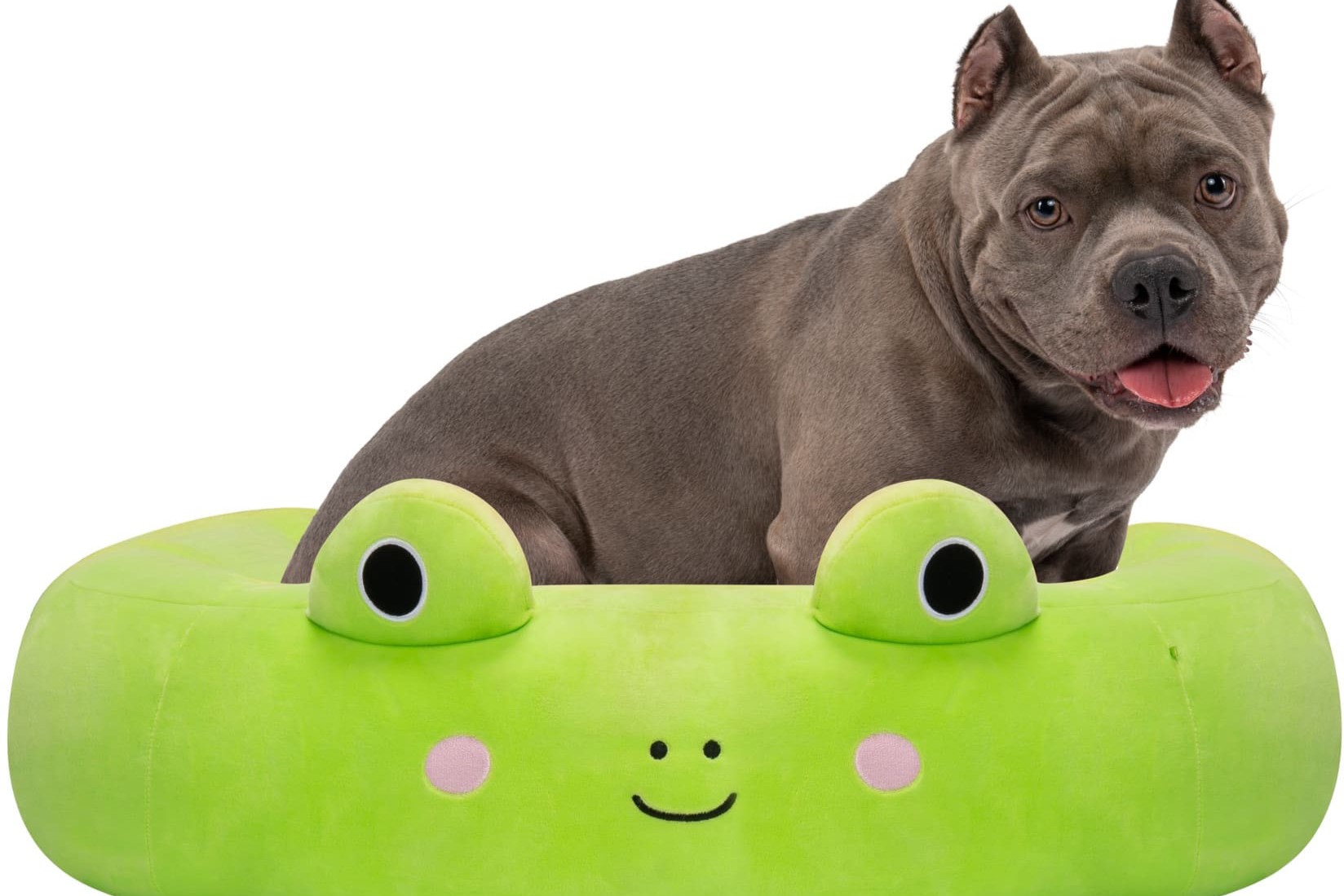 Discover The Surprising Benefits Of Using A Squishmallow Pet Bed