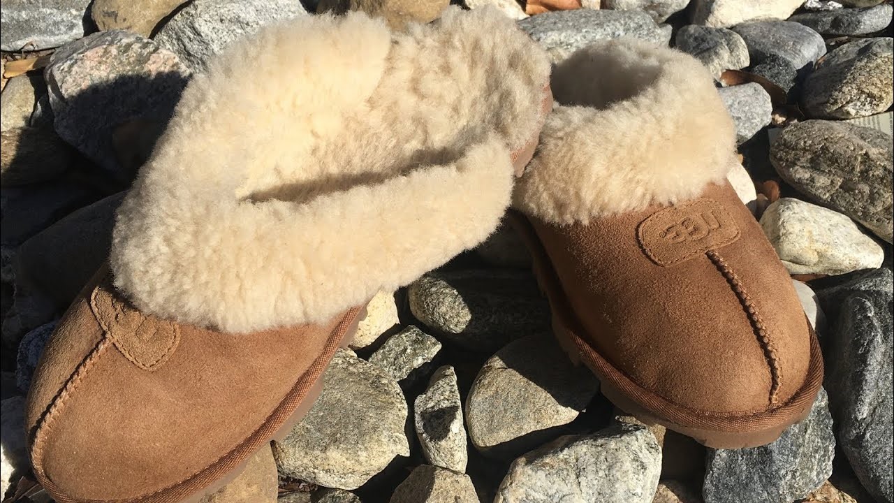 How To Clean Ugg Slippers