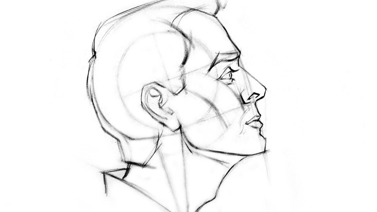 How To Create A Side Profile Drawing