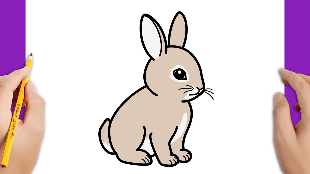 How To Draw A Bunny
