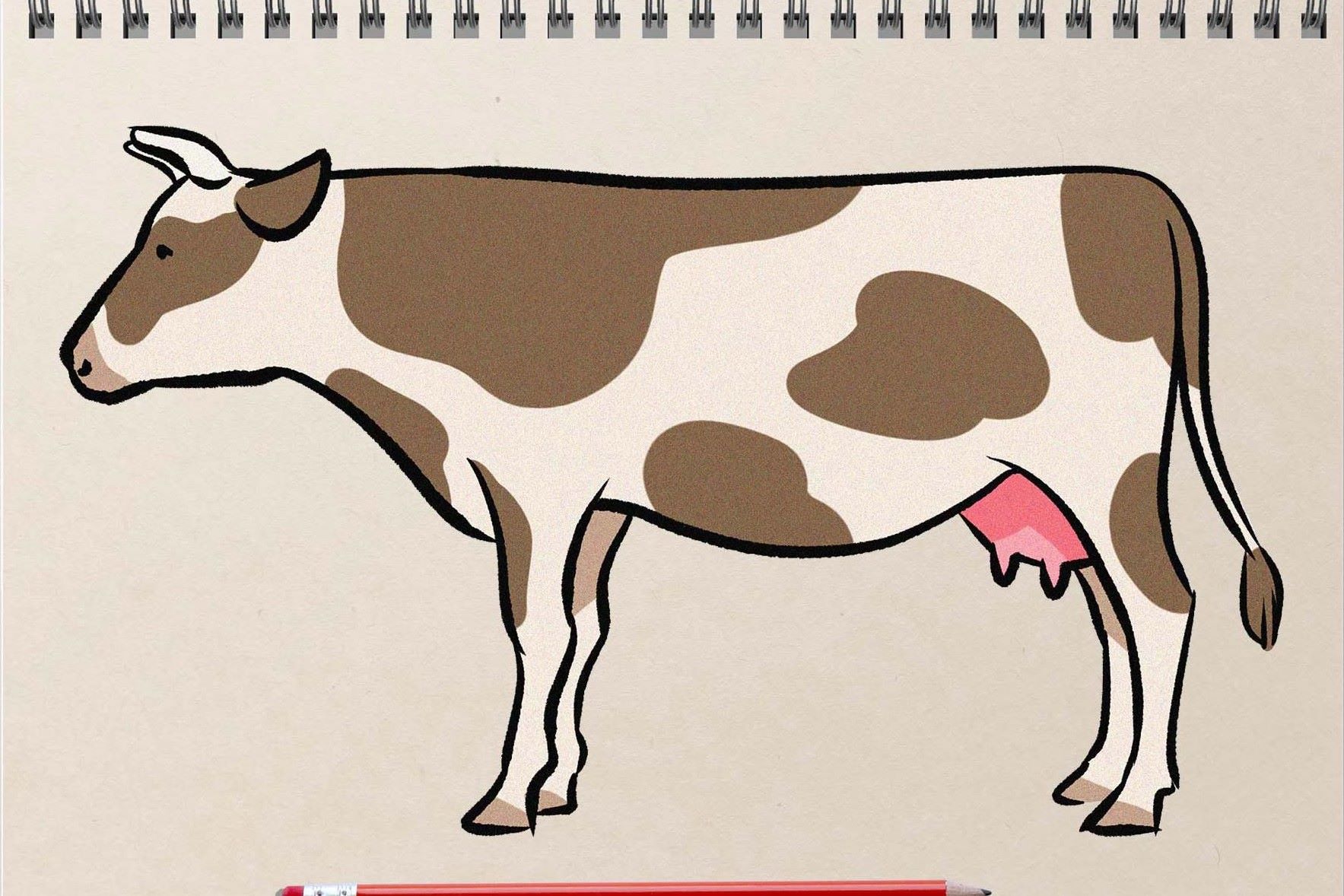 How To Draw A Cow