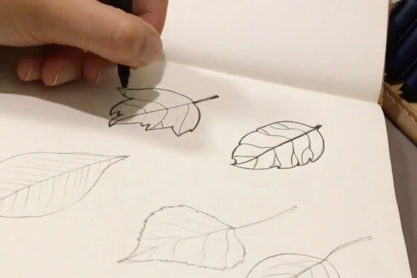 How To Draw A Leaf